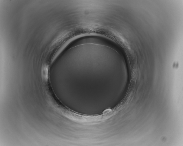 X0000094810027200711301601