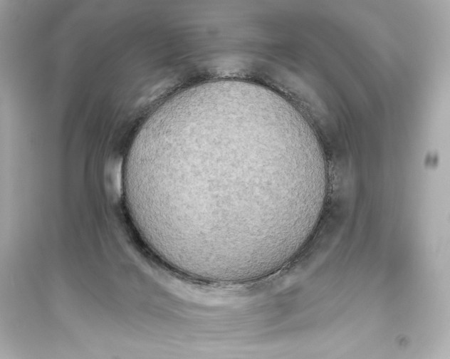 X0000094810028200711301601