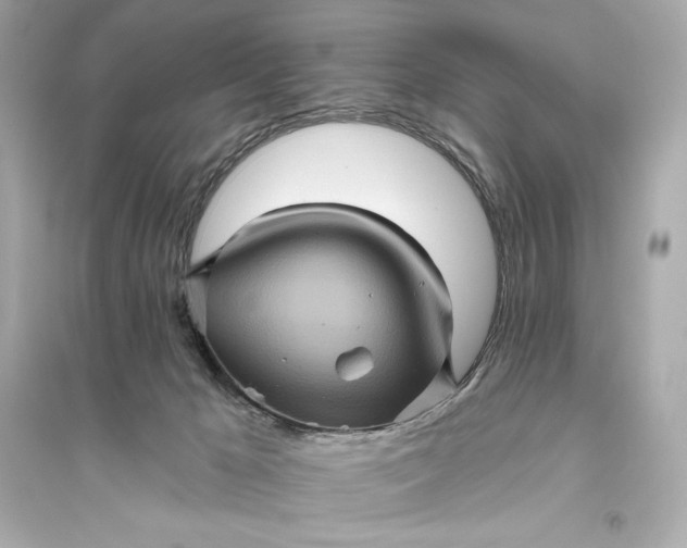 X0000094810029200711301601