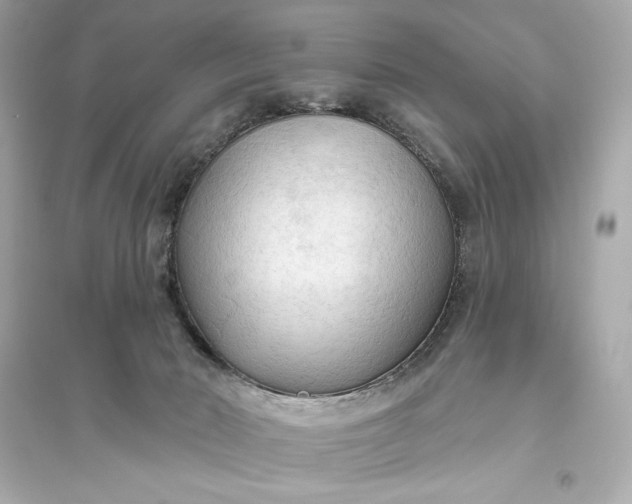 X0000094810030200711301601