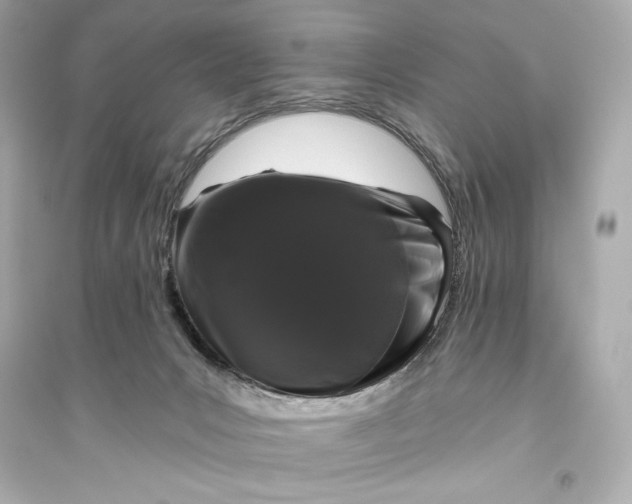 X0000094810031200711301601