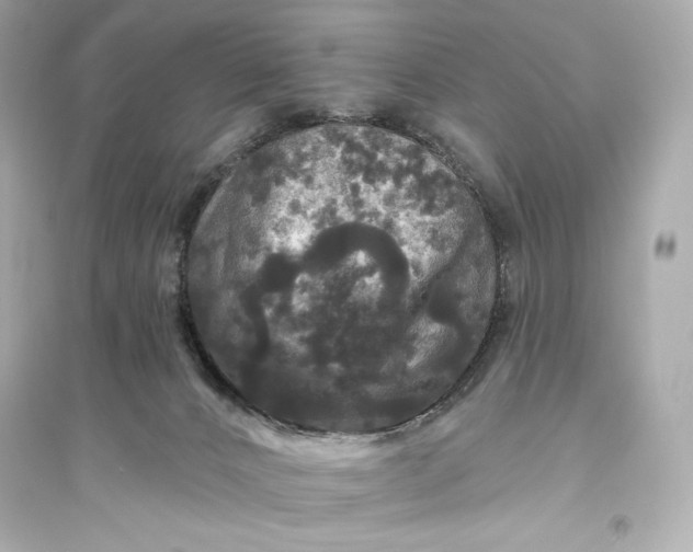 X0000094810032200711301601