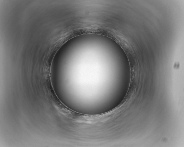 X0000094810033200711301601