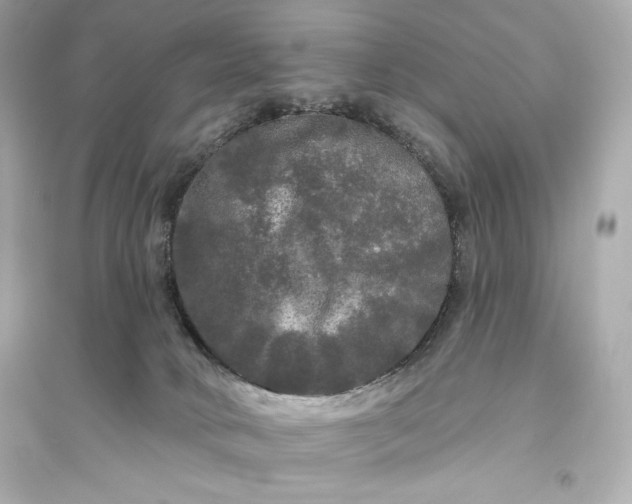 X0000094810034200711301601