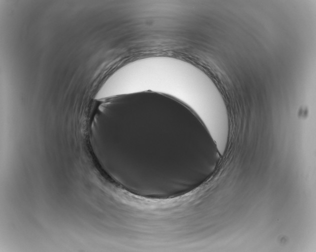 X0000094810035200711301601