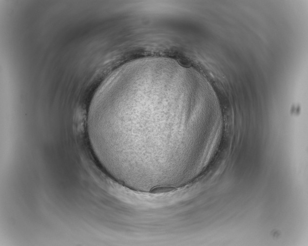 X0000094810038200711301601