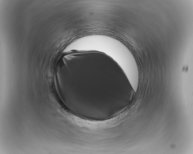 X0000094810039200711301601