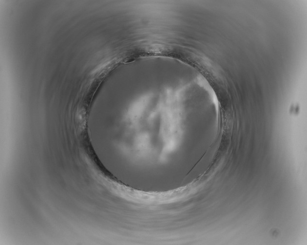 X0000094810043200711301601