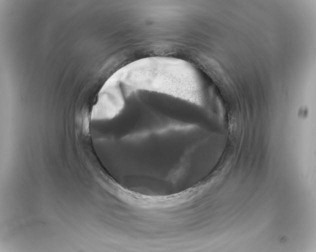 X0000094810046200711301601