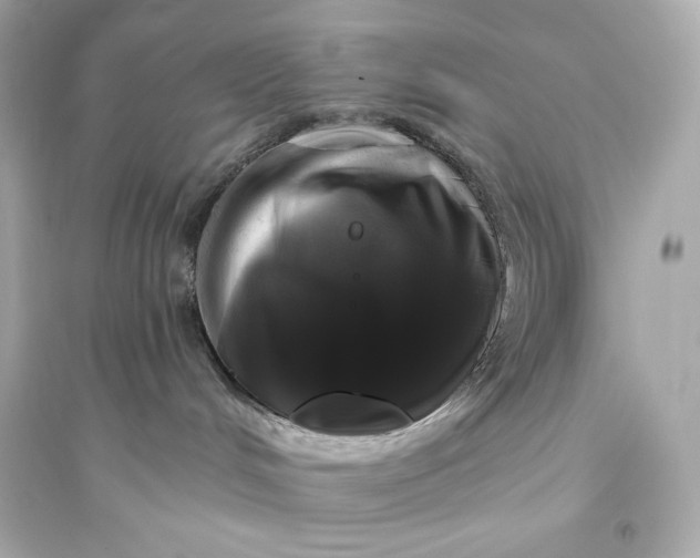 X0000094810048200711301601