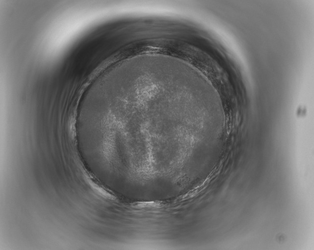 X0000094810050200711301600