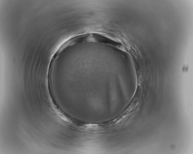 X0000094810052200711301600