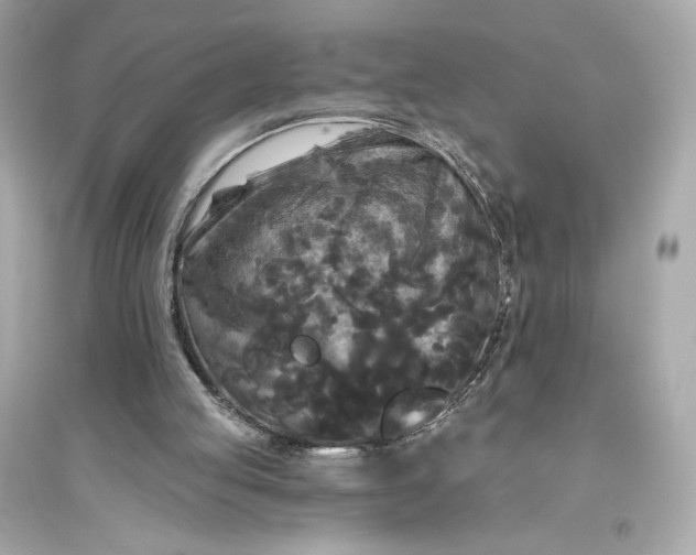 X0000094810053200711301600