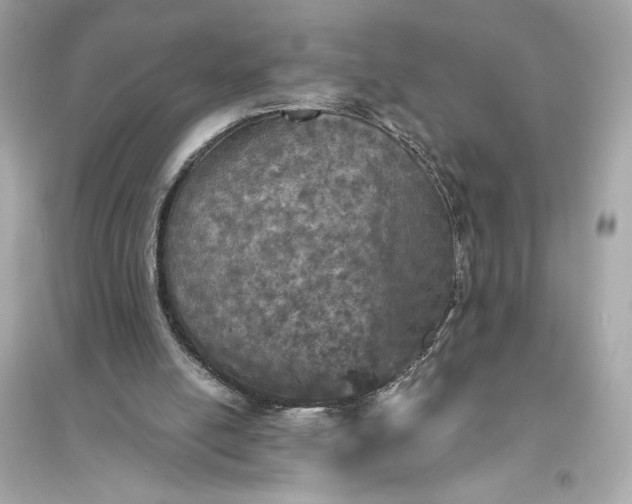 X0000094810054200711301600