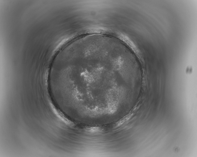 X0000094810058200711301600