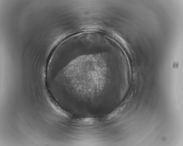 X0000094810059200711301600