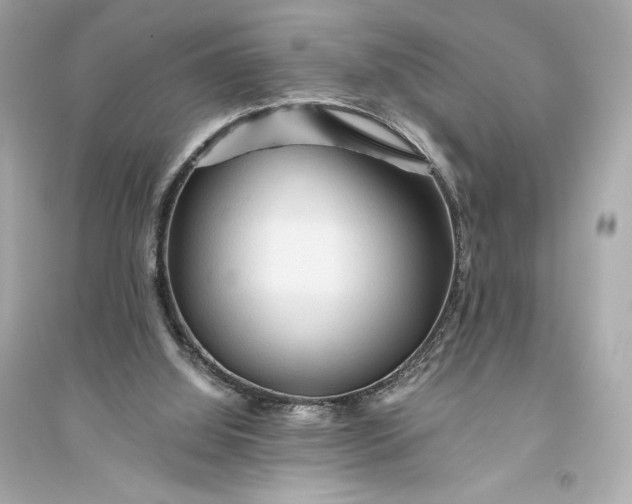 X0000094810060200711301600