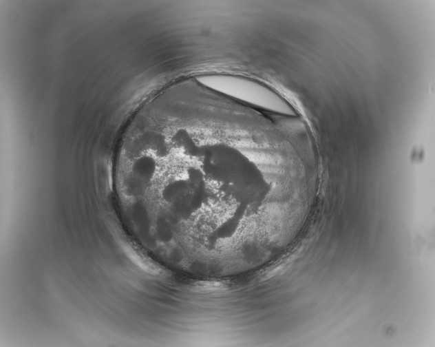 X0000094810061200711301600