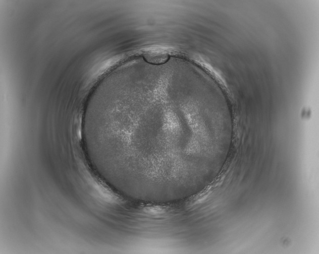 X0000094810062200711301600