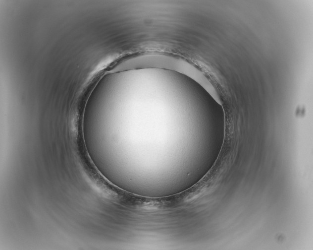 X0000094810064200711301601