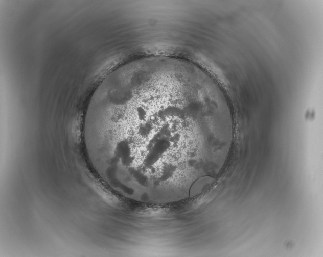 X0000094810065200711301601