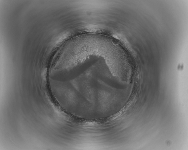 X0000094810066200711301601