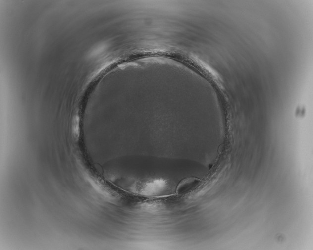 X0000094810067200711301601