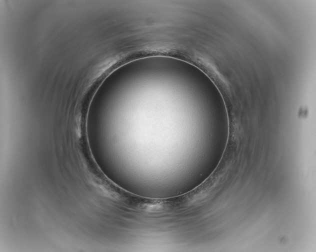 X0000094810068200711301601