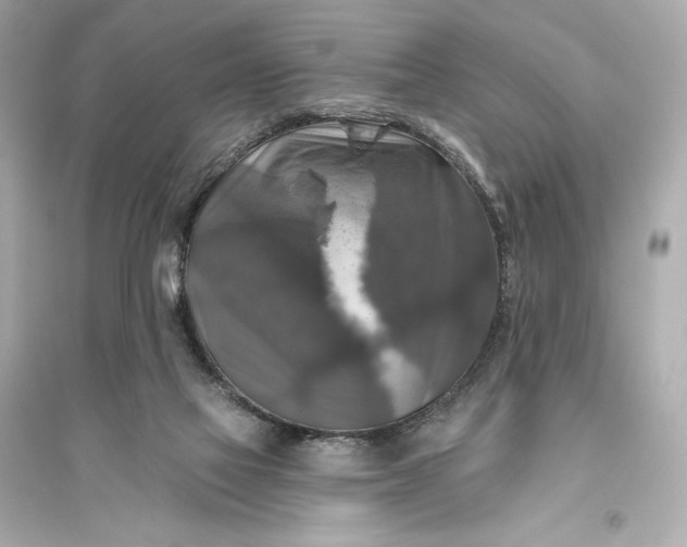 X0000094810069200711301601