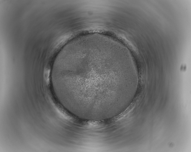 X0000094810070200711301601