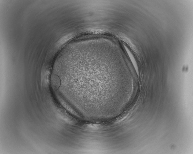 X0000094810071200711301601