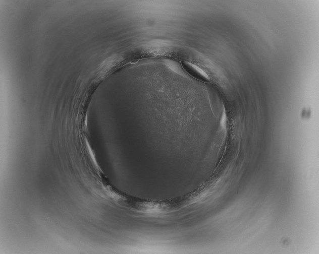 X0000094810073200711301601