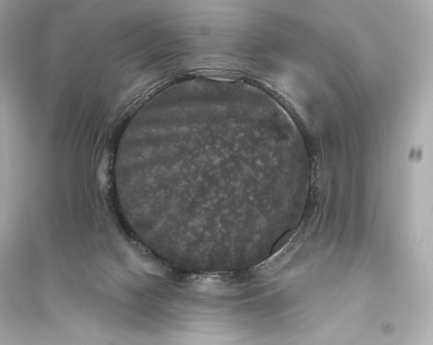 X0000094810074200711301601