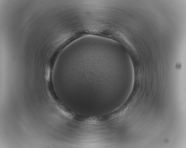 X0000094810076200711301601