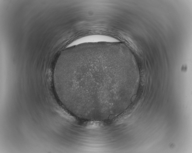 X0000094810077200711301601