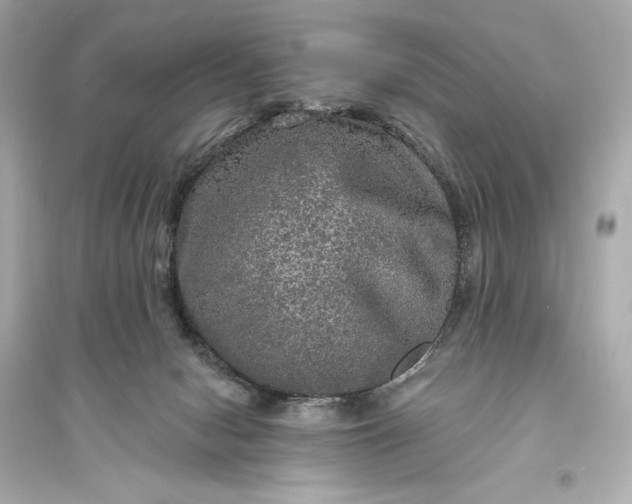 X0000094810078200711301601