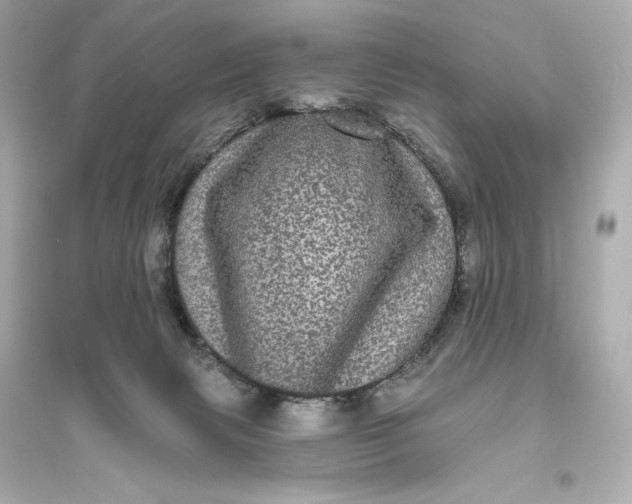 X0000094810079200711301601