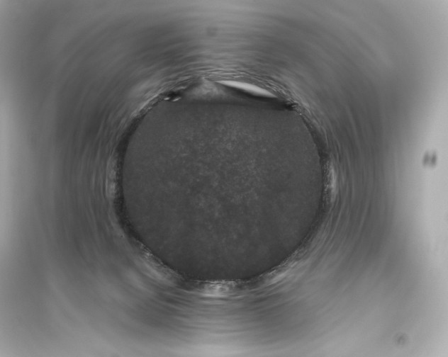 X0000094810080200711301601