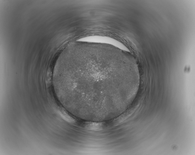 X0000094810081200711301601