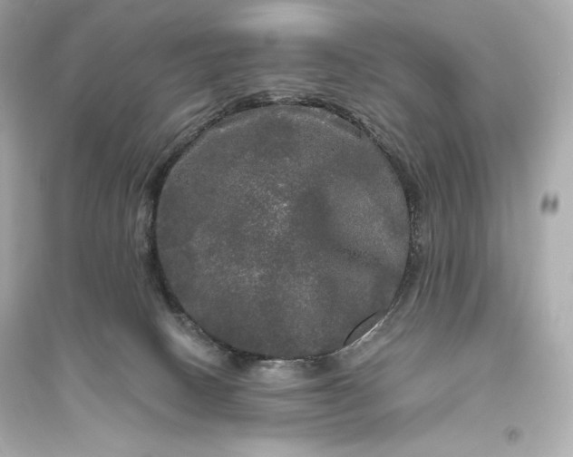 X0000094810082200711301601