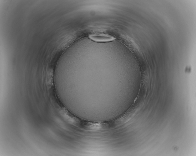 X0000094810083200711301601