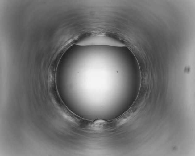 X0000094810084200711301601