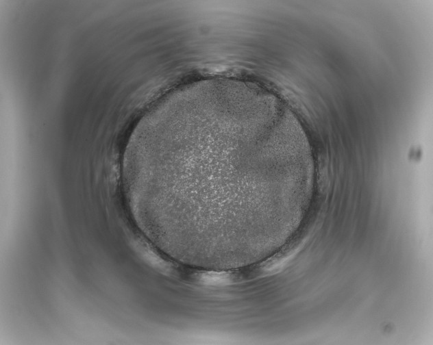 X0000094810085200711301601