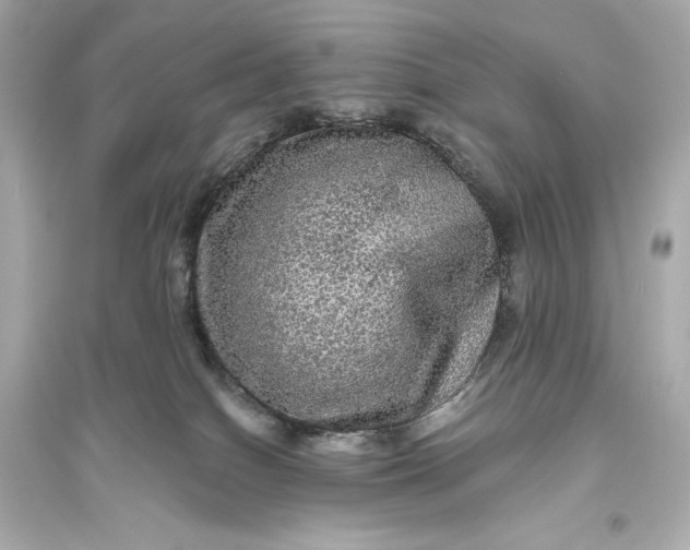 X0000094810086200711301601