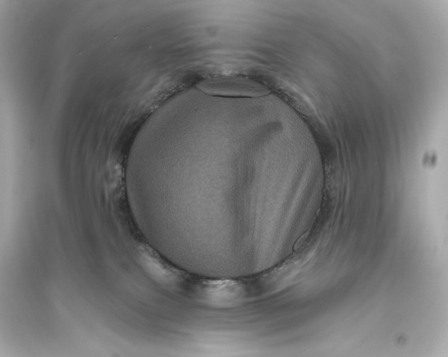 X0000094810087200711301601