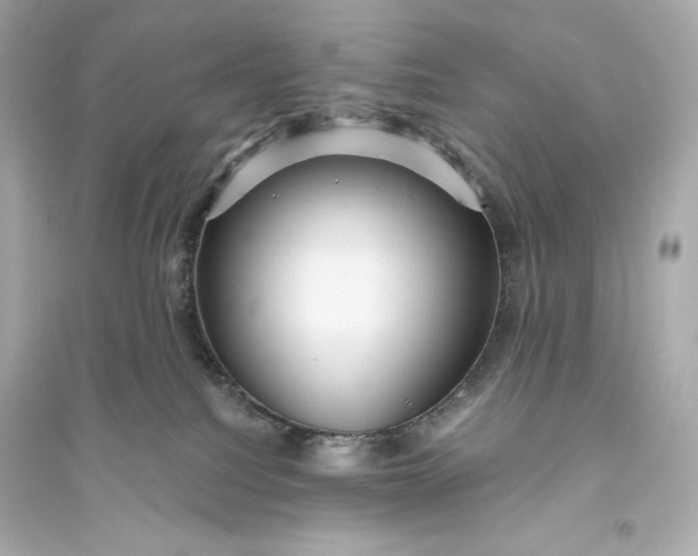 X0000094810088200711301601