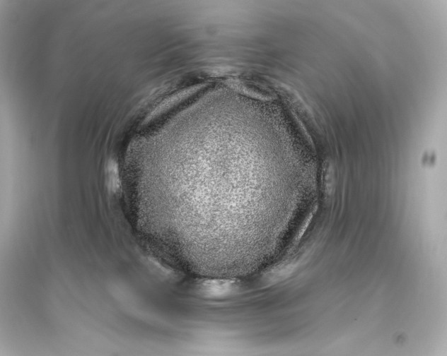 X0000094810089200711301601