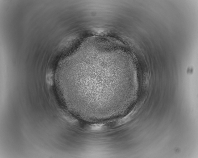 X0000094810090200711301601