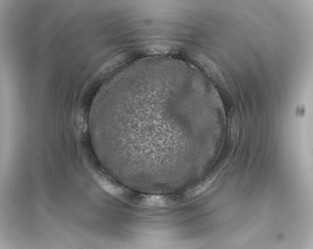 X0000094810091200711301601