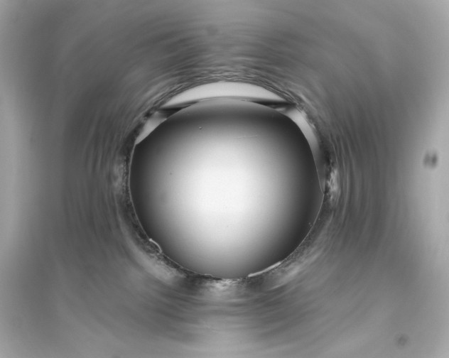 X0000094810092200711301601